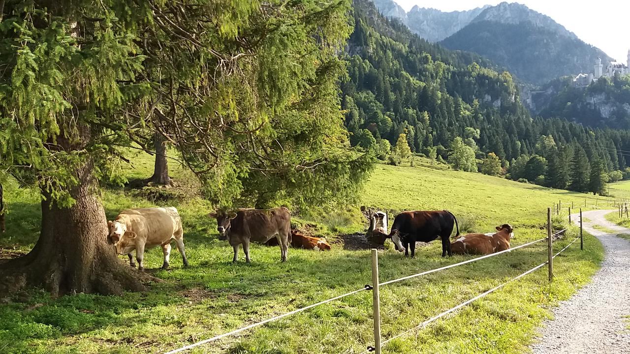 Hotel Kleiner Koenig Schwangau Kültér fotó